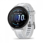 Garmin Forerunner 165 Music Mist grey/Whitestone (010-02863-31)